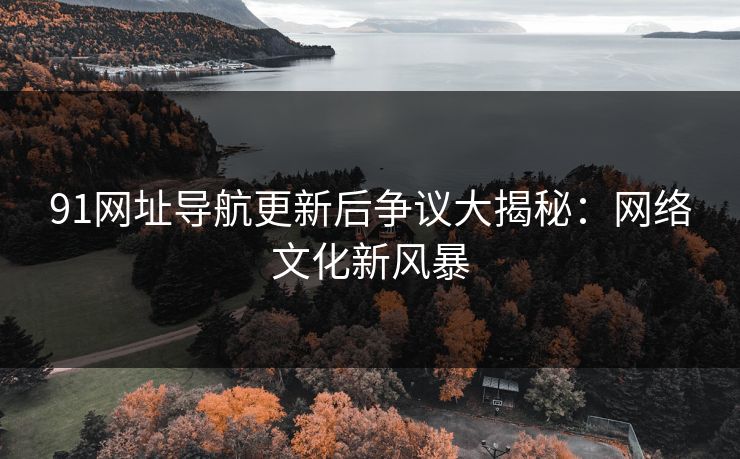 91网址导航更新后争议大揭秘:网络文化新风暴