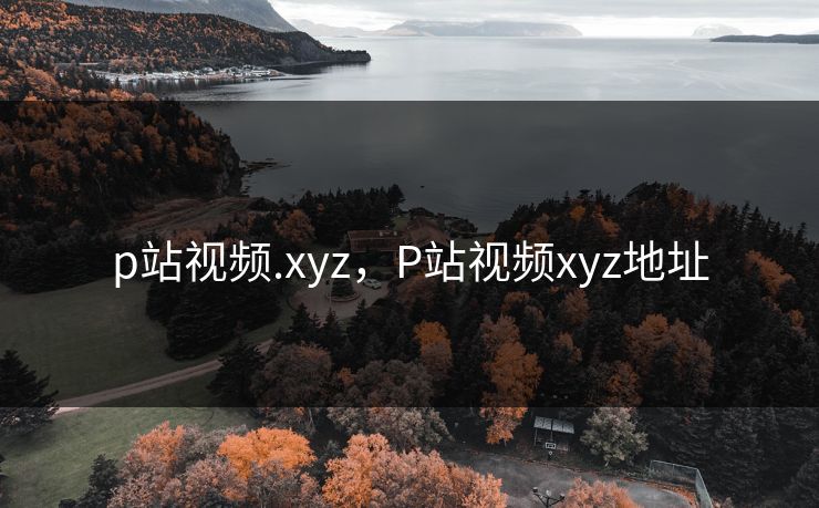 p站视频.xyz,P站视频xyz地址